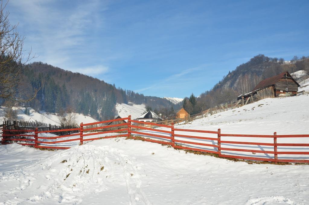 Pensiunea La Ionica Dîmbovicioara Exterior foto