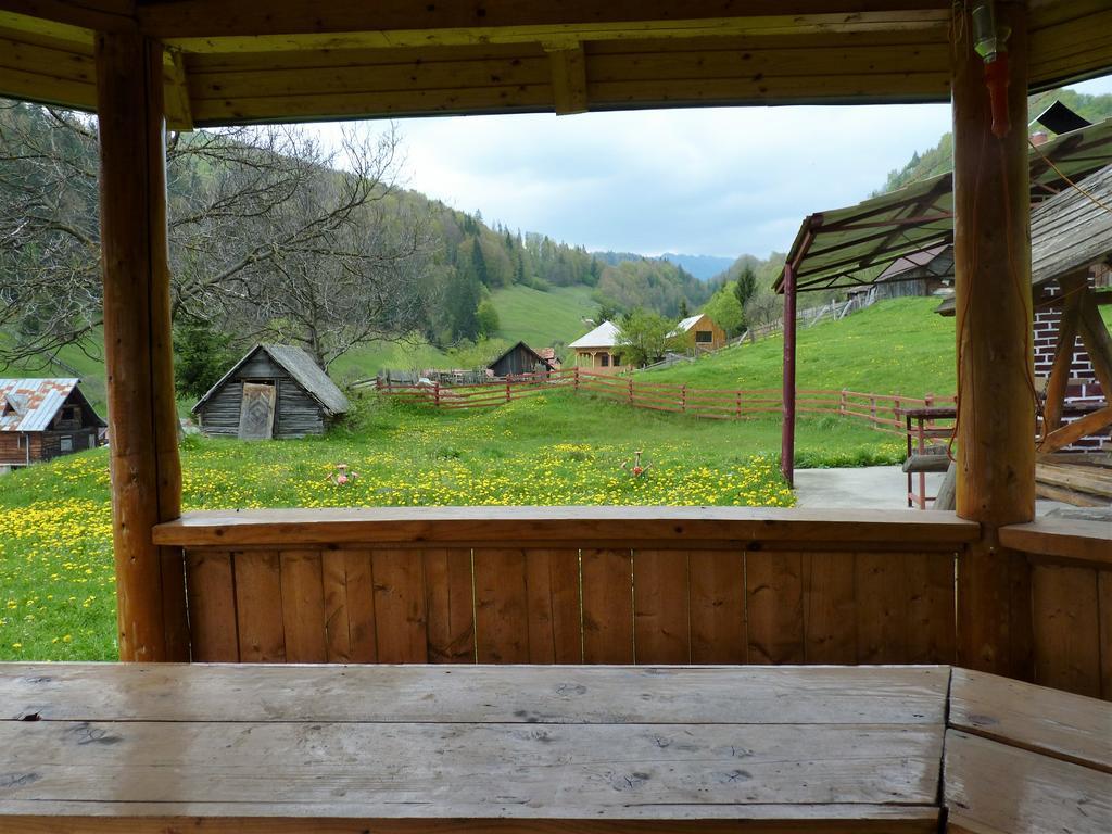 Pensiunea La Ionica Dîmbovicioara Exterior foto