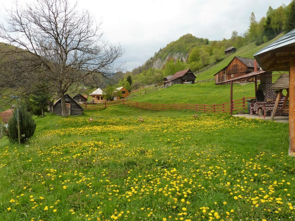 Pensiunea La Ionica Dîmbovicioara Exterior foto