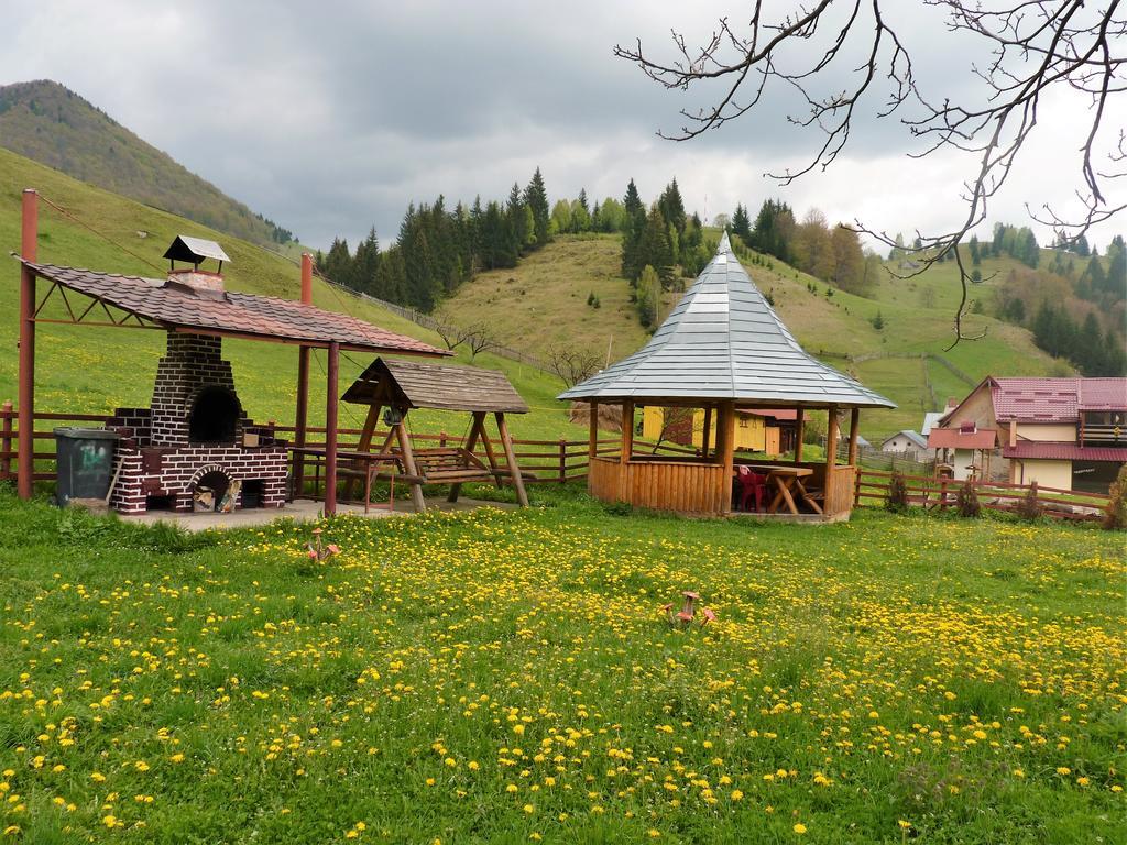 Pensiunea La Ionica Dîmbovicioara Exterior foto