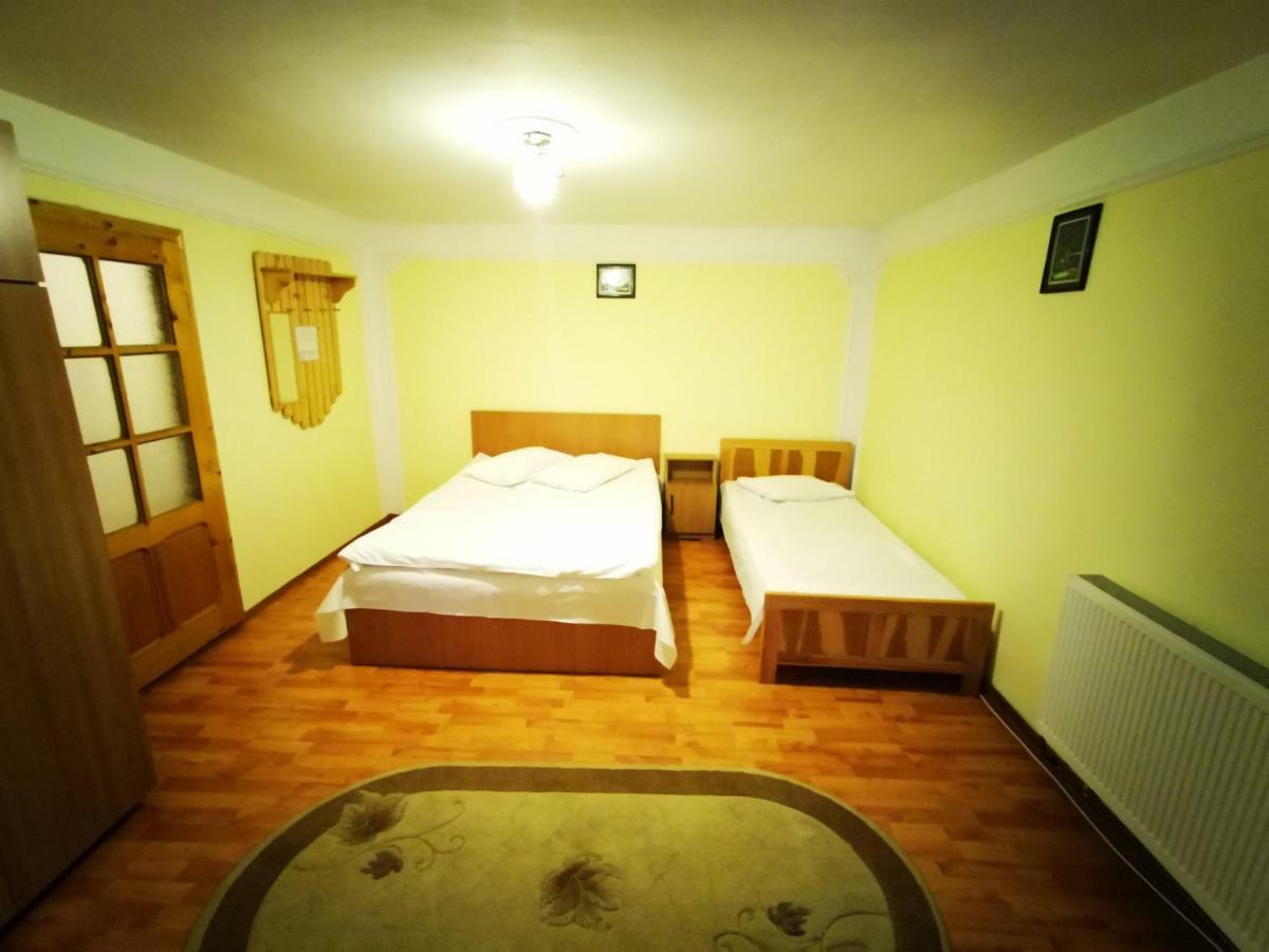 Pensiunea La Ionica Dîmbovicioara Exterior foto